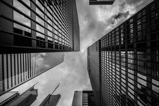 Consulting Services