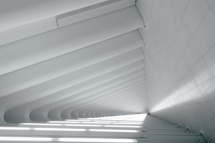 Building Surveyors and Consultants